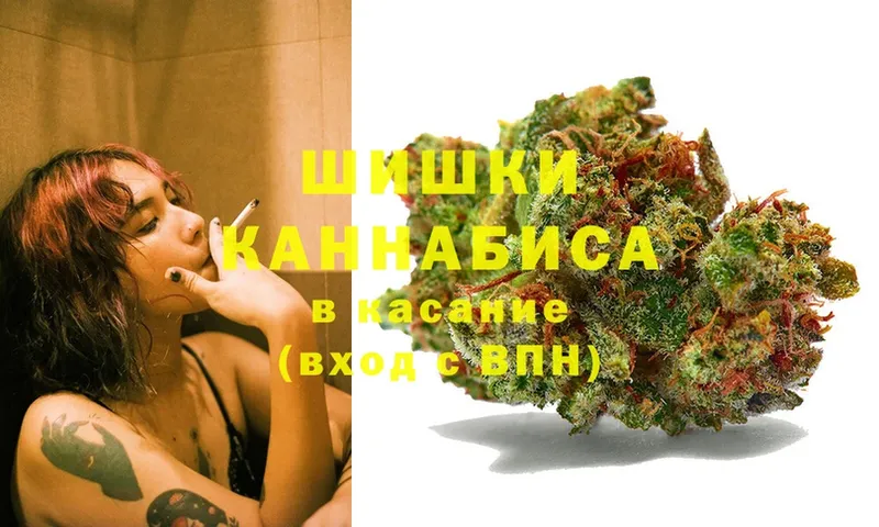 Шишки марихуана THC 21%  Гатчина 